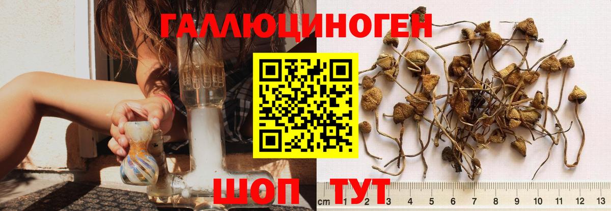Псилоцибиновые грибы мухоморы Гурьевск