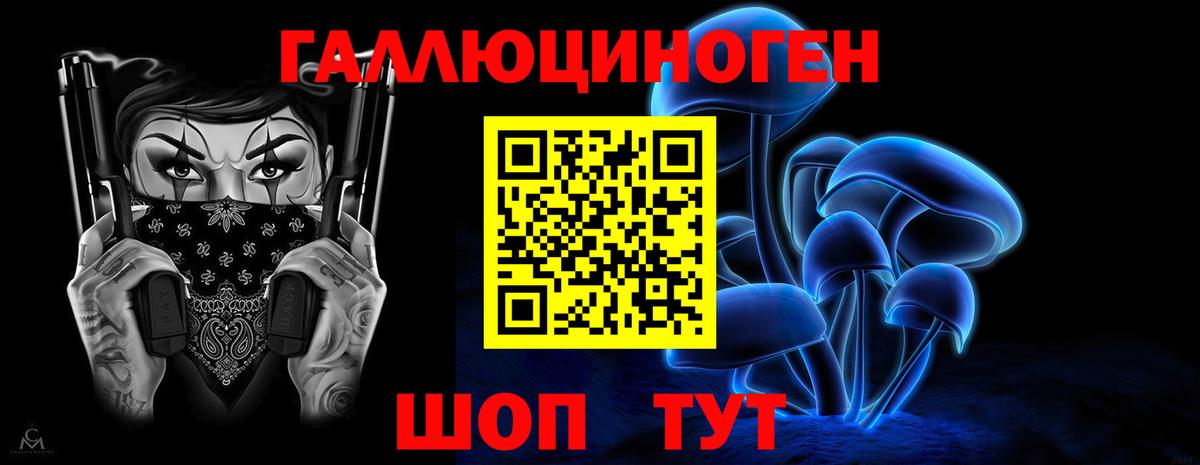 Гурьевск  Галлюциногенные грибы прущие грибы  Псилоцибиновые грибы MAGIC MUSHROOMS  Вход с VPN 